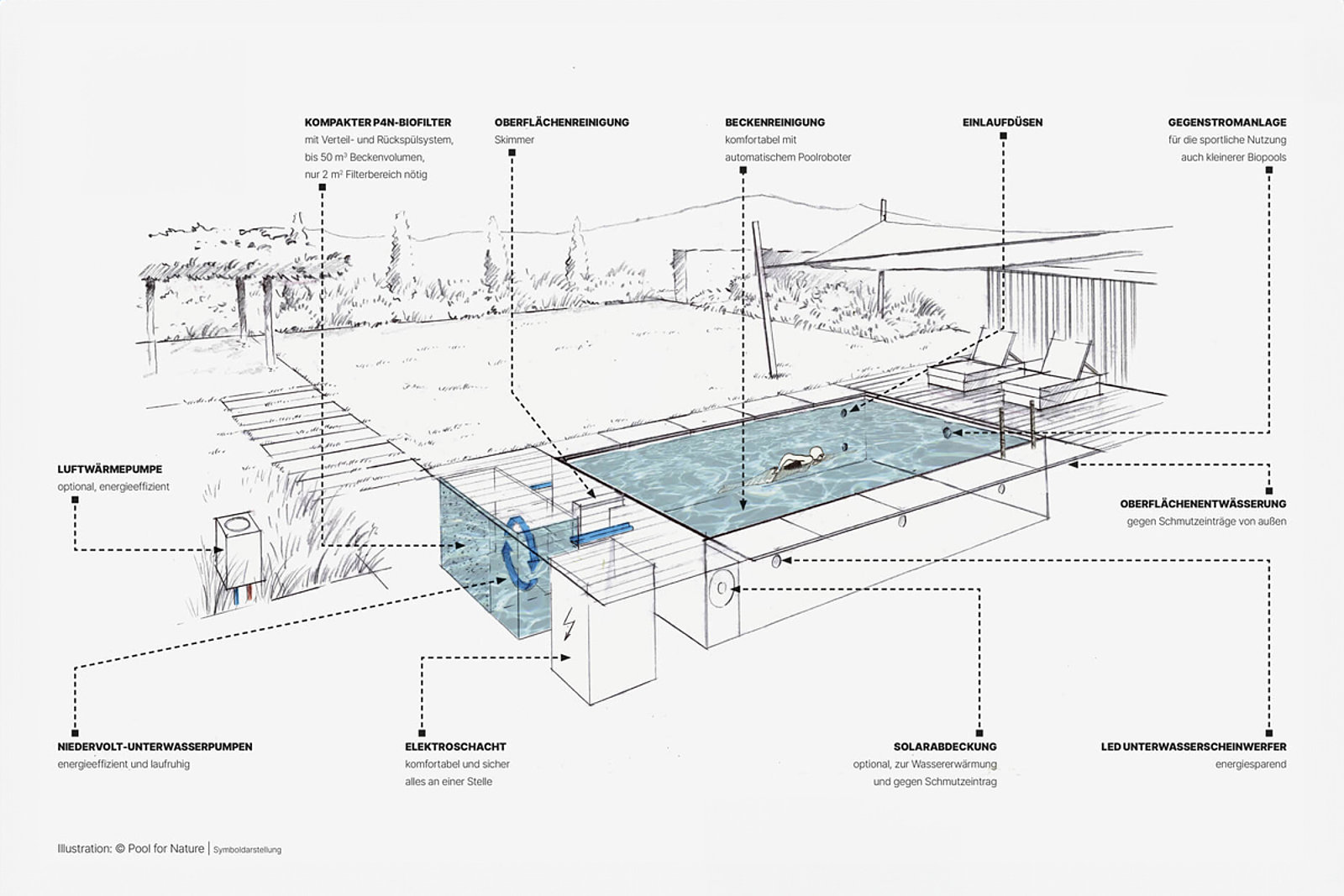 Biopool im Garten in Vorarlberg – AP AQUA: AP AQUA GmbH